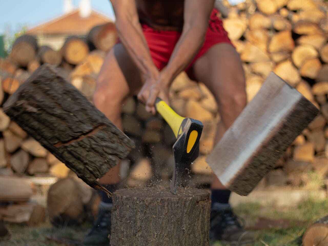 Dead Tree Removal